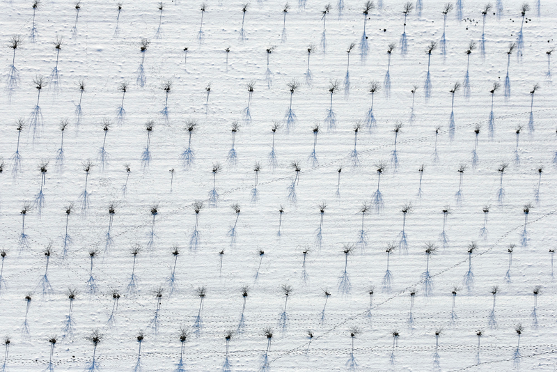 Illustration for article titled The Odd and Mesmerizing Aerial Photos of Klaus Leidorf